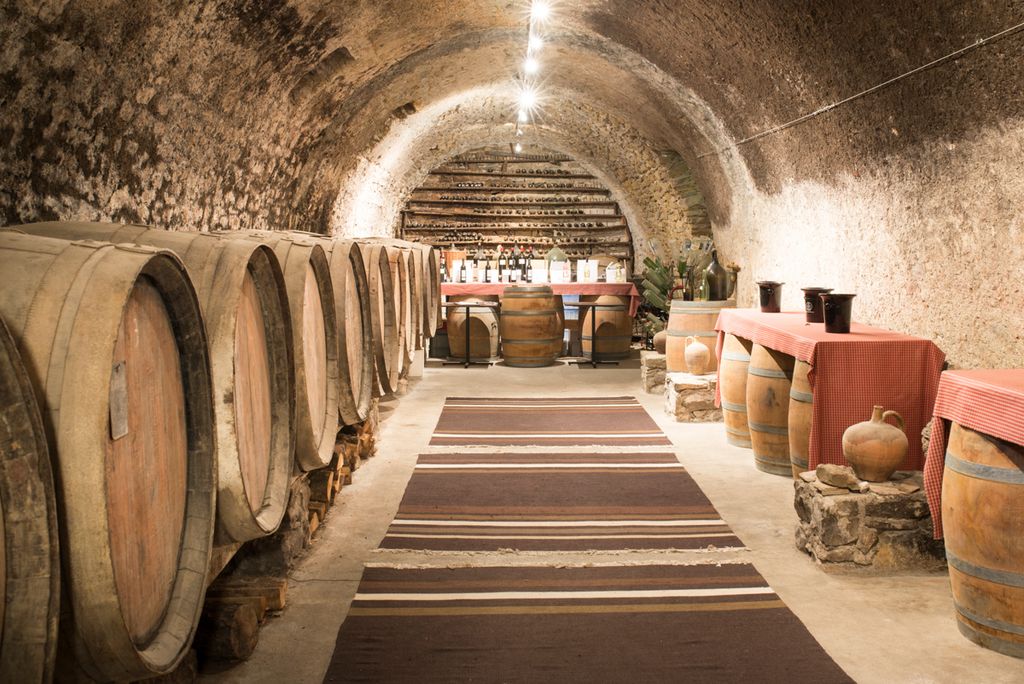 Chateau de l Ange Languedoc Olivers Travels4