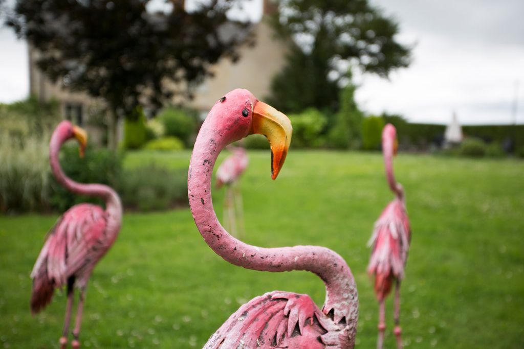 The Bell And Flamingo Cotswolds Olivers Travels 2