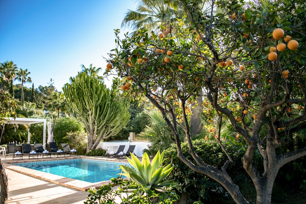 Villa Mateus Costa Blanca Olivers Travel 2