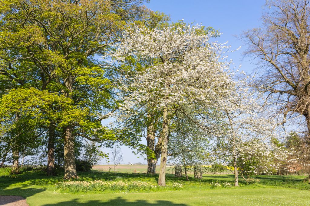 Langton Castle Scotland Olivers Travels5