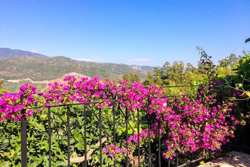 Zeytin Evi Marmaris Olivers Travels2
