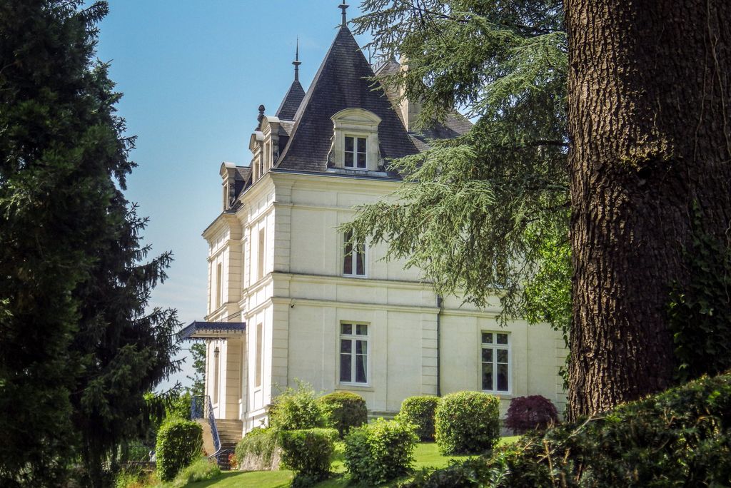 Chateau du Mas Vendee Olivers Travels 4