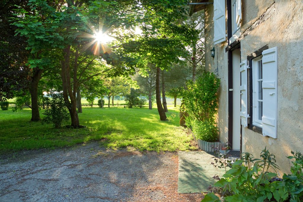 Cottage des Cathares Languedoc Olivers Travels4 01