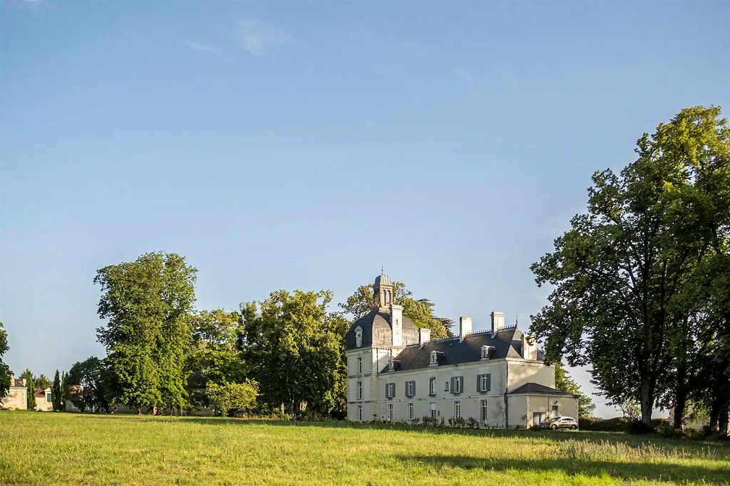 Chateau de la Tour Loire Valley Olivers Travls 1