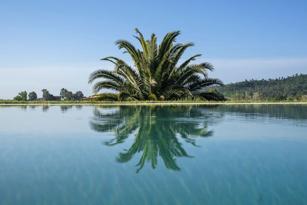 La Miniera Tuscany Olivers Travels 2