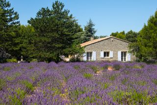 Villa Borie Provence Olivers Travel 1