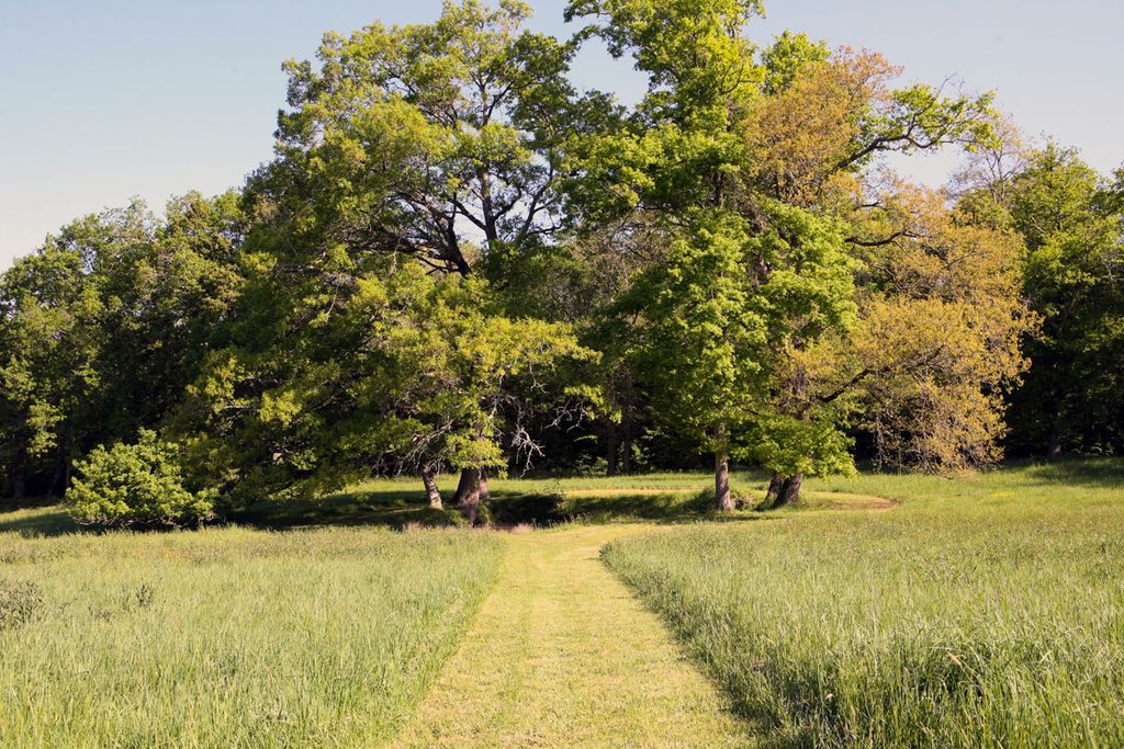 Chateau Beau Village Dordogne Olivers Travels 2