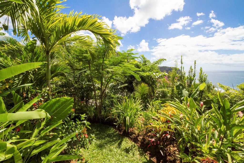 Villa Marigot St Lucia Olivers Travels 5