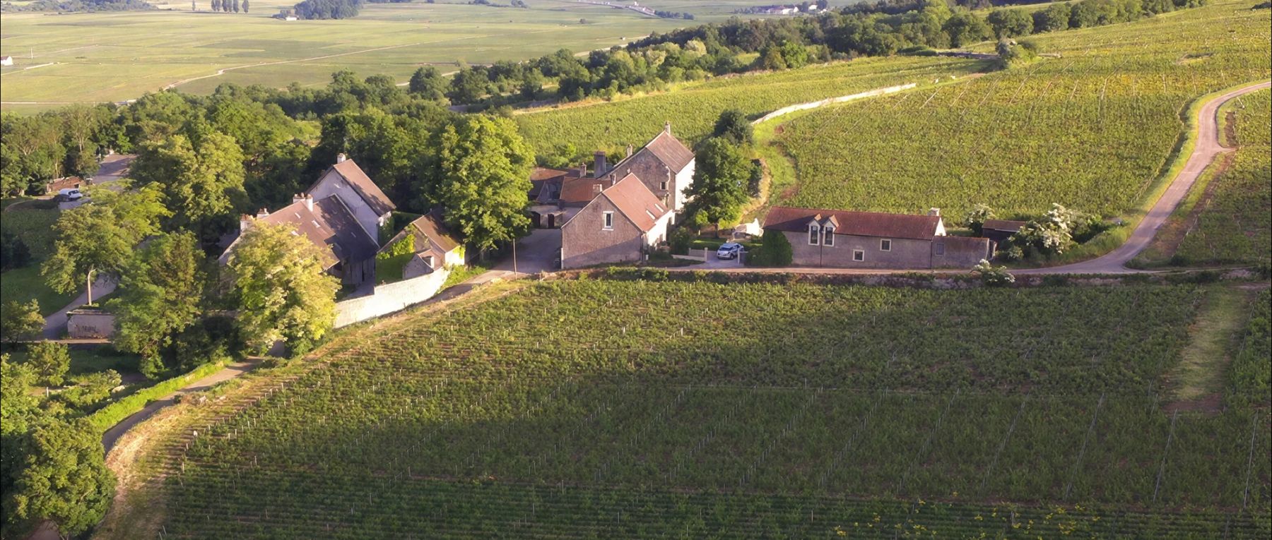 001 les vignobles d or burgundy olivers travels desktop center