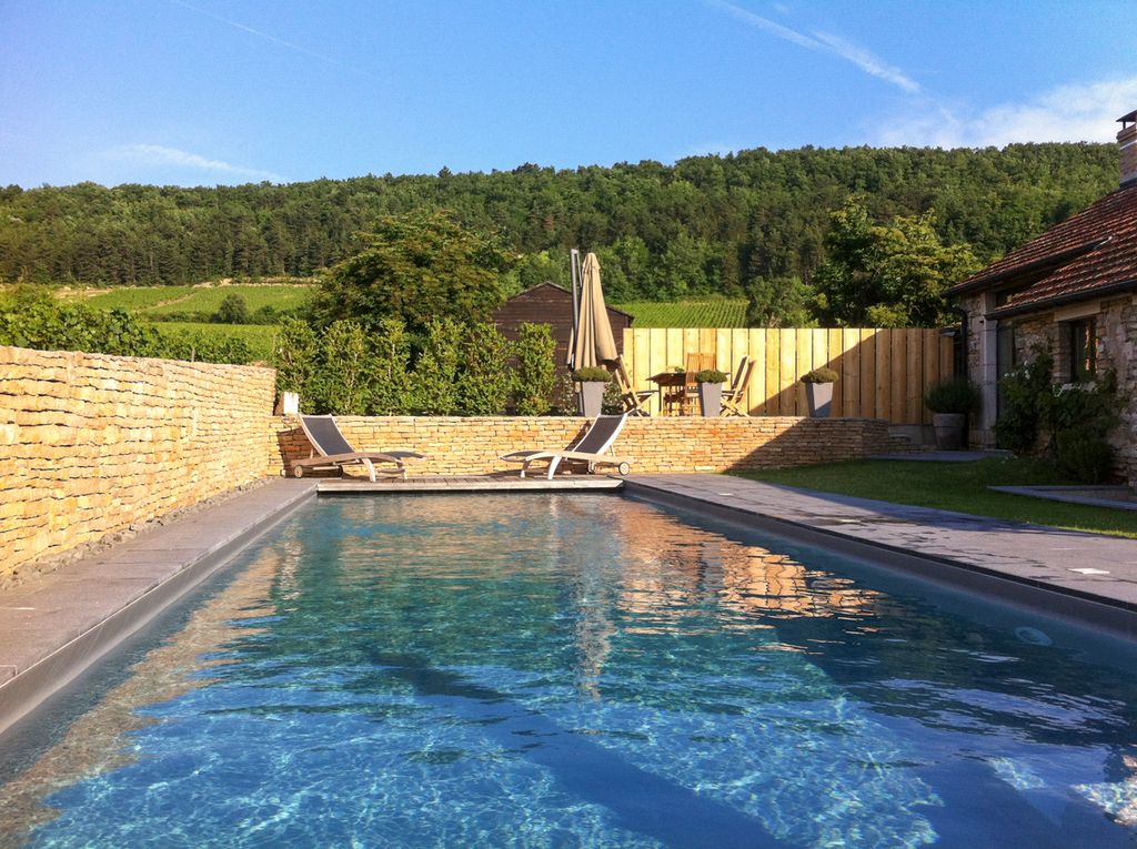 Les Vignobles d Or Olivers Travels Burgundy1