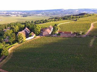 Les Vignobles d Or Olivers Travels Burgundy10