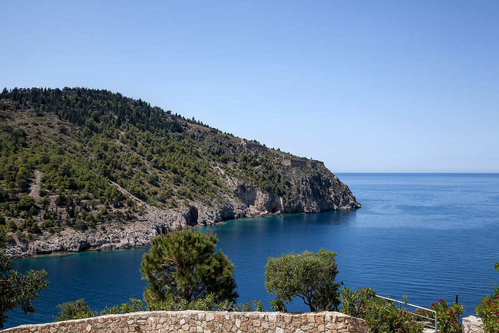 Assos Seagull Kefalonia Olivers Travels5