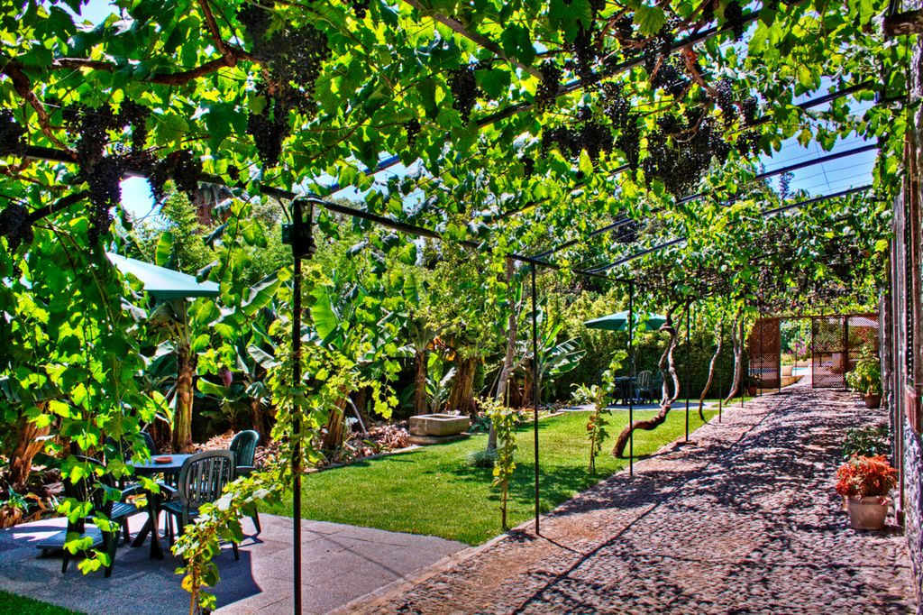 Bom Dia Villa Funchal Olivers Travels2