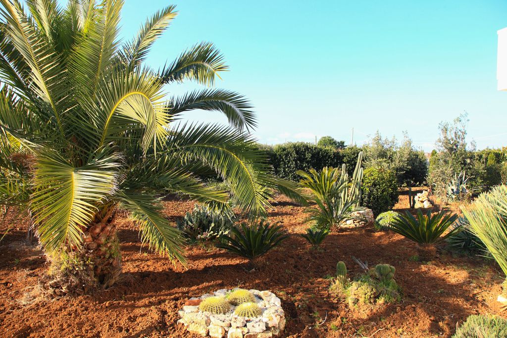 Villa Bianca Puglia Olivers Travels 5
