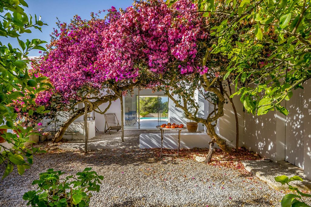 Casa Angelins Ibiza Olivers Travels 4