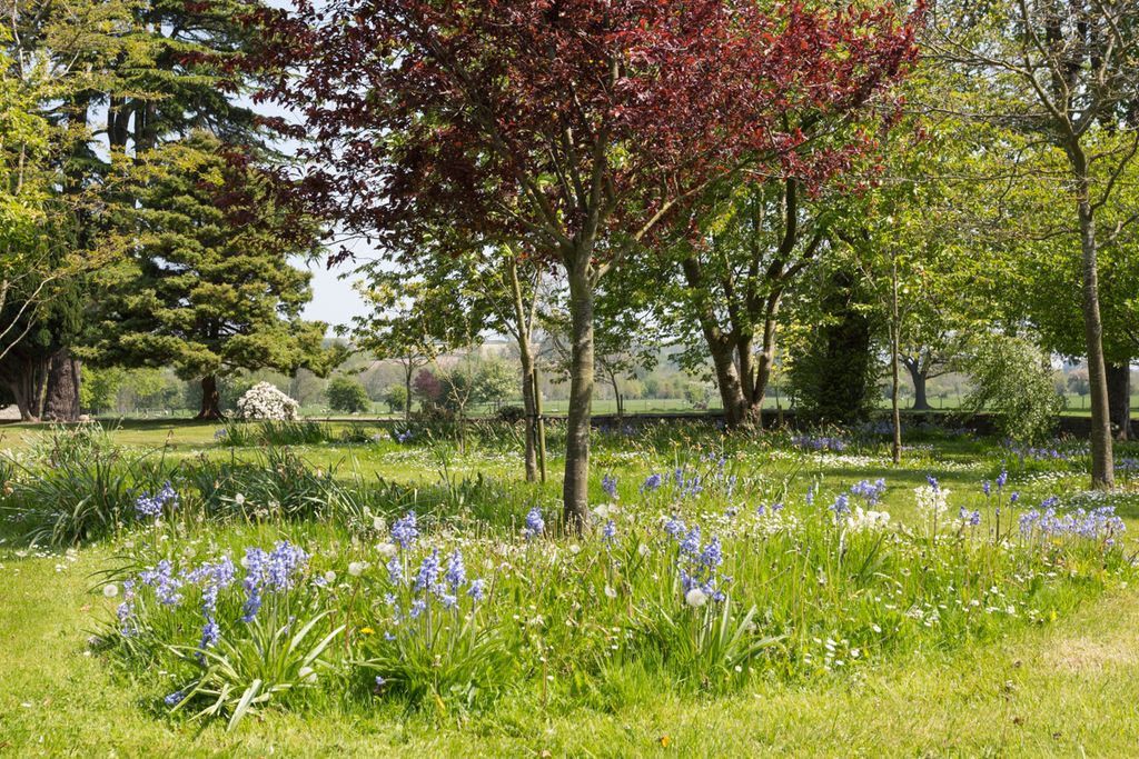 Jacobean Manor Wales Olivers Travels5