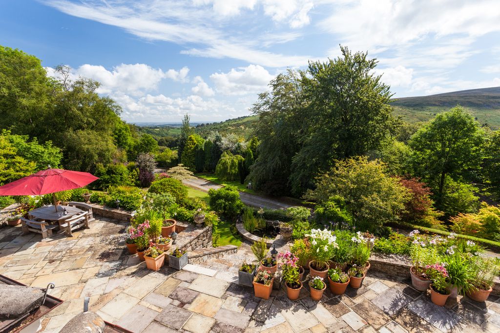 Dartmoor Tea House Devon 1 5