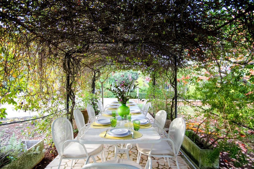 Tenuta San Vito Puglia Olivers Traels 8