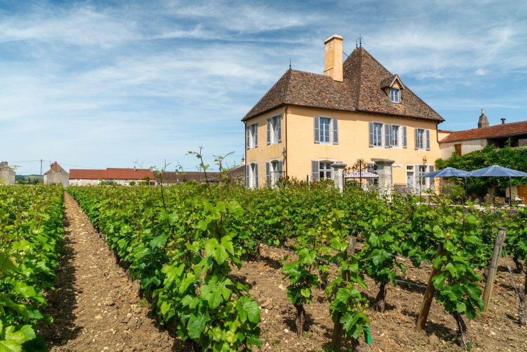 Chateau Cote D Or Burgundy Olivers Travels1  2 