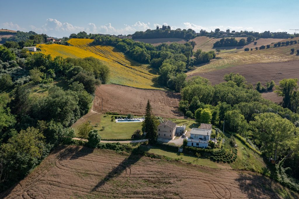 Villa Rossana Marche Olivers Trav 1