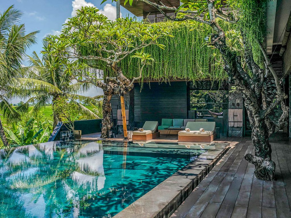 Villa Mana Canguu Olivers Travels   1 