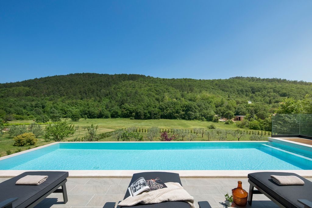Villa Nalia Istria Olivers Travels 5