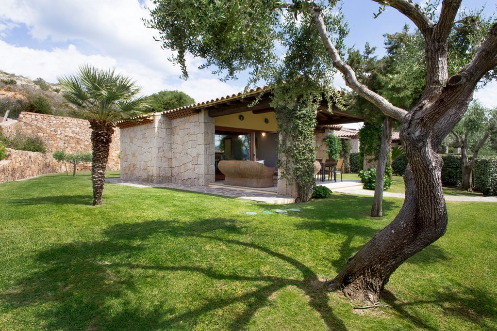 Stelleta Sardinia Olivers Travels 1 5