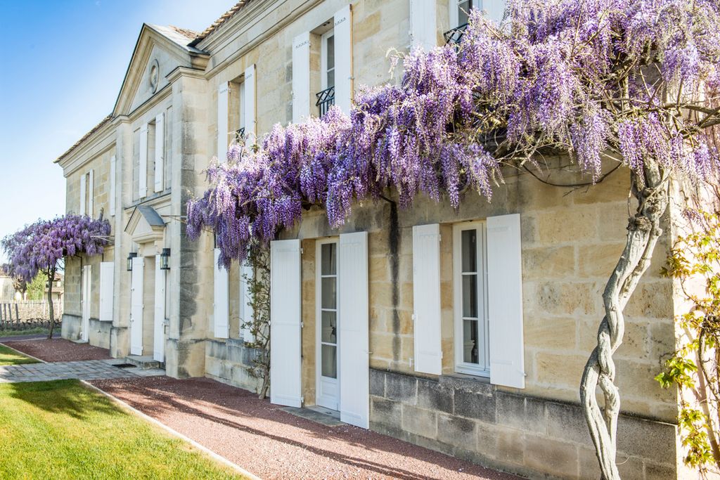 Chateau Grand Cru Aquitaine Olivers Travels6