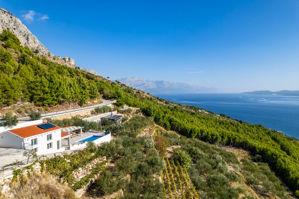 Villa Dyeing Dalmatia Olivers Travels1