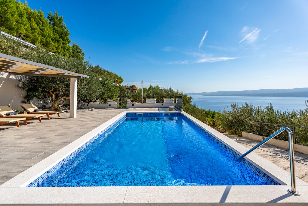 Villa Dyeing Dalmatia Olivers Travels2
