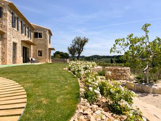 Le Champ Olives Provence Olivers Travels2
