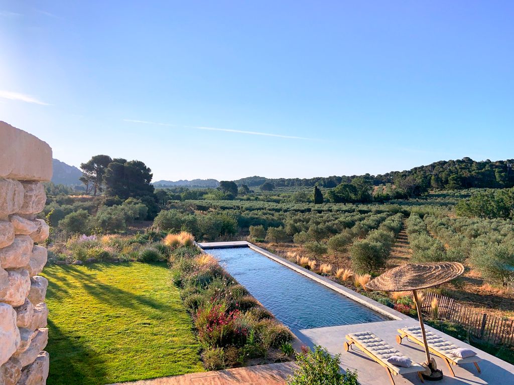 Le Champ Olives Provence Olivers Travels5